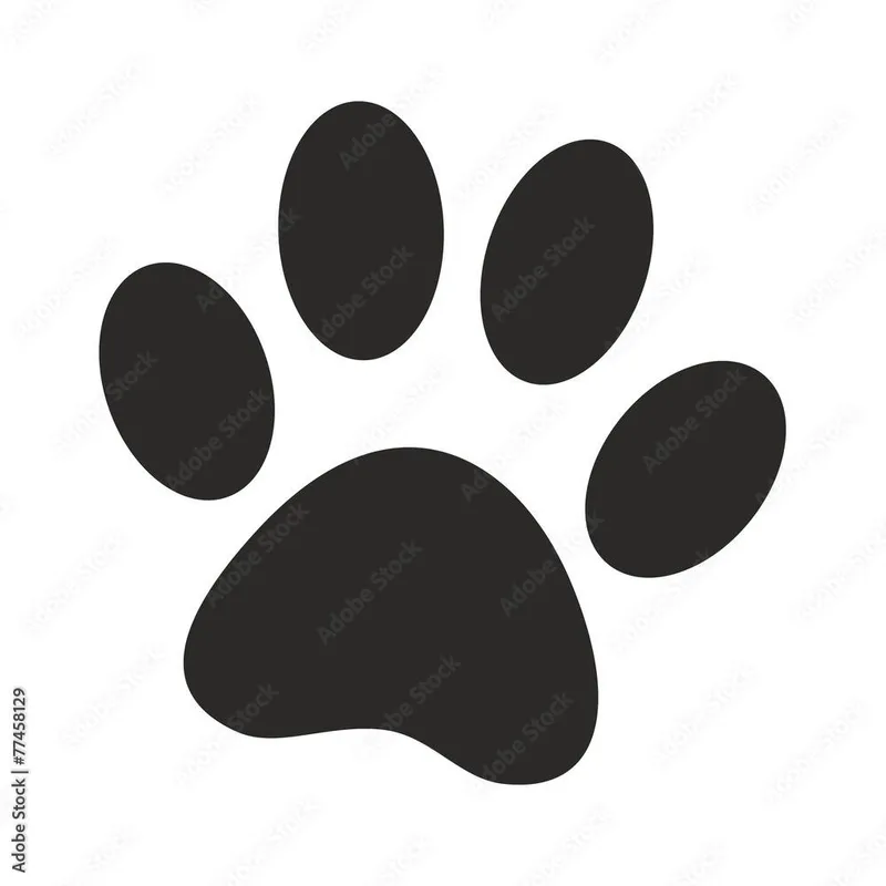 An adult small-sized male Black Mixed Breed dog named Toby for adoption in Dickinson, TX