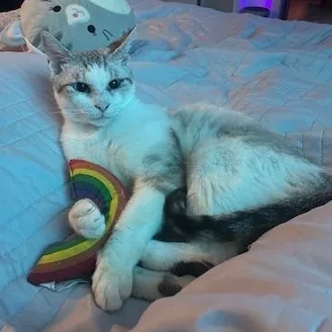 Persephone thumbnail 2