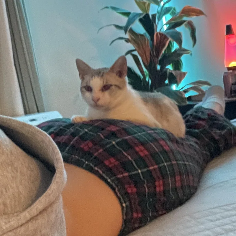 Persephone thumbnail 3