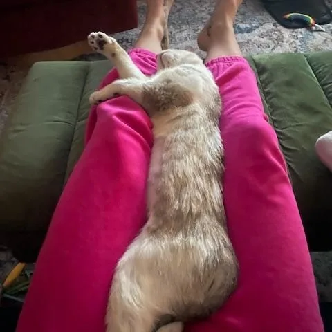 Persephone thumbnail 5