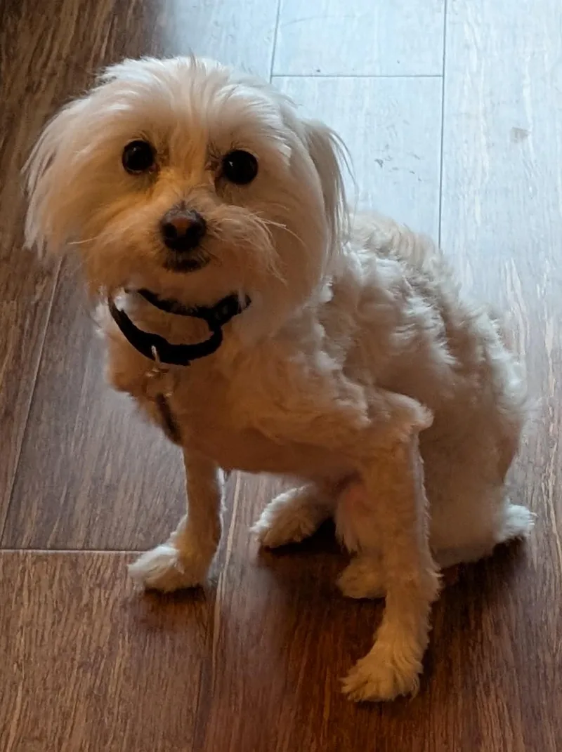Casper thumbnail 2