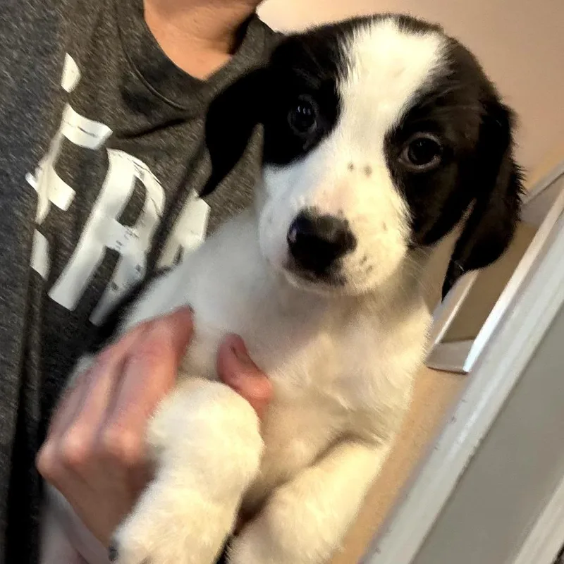 Ct Freedom Avail May
