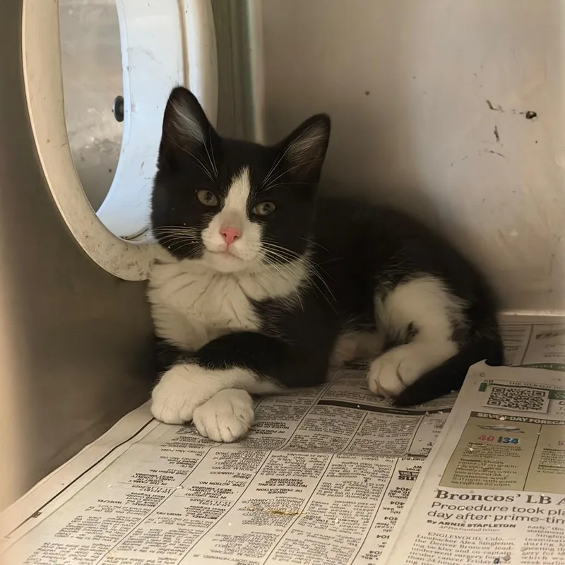 Tux
