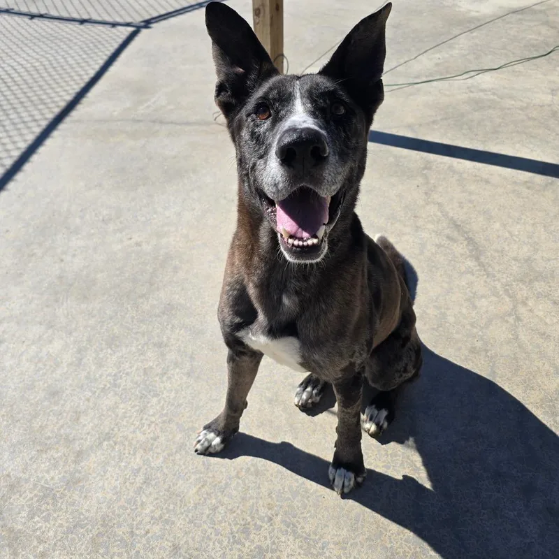 Marley  T thumbnail 2