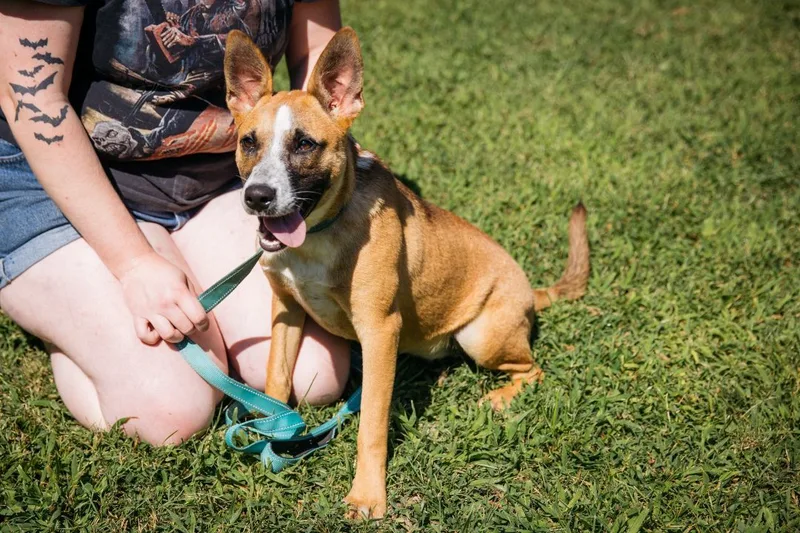 Patchouli thumbnail 3