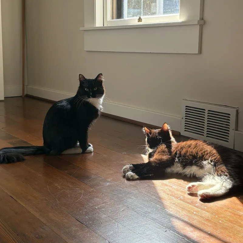 Tinsel And Mistletoe thumbnail 4