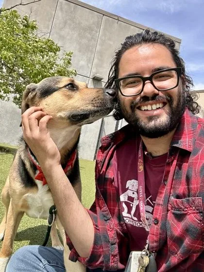 An adult large-sized male Black Mixed Breed dog named Alex for adoption in Wichita, KS