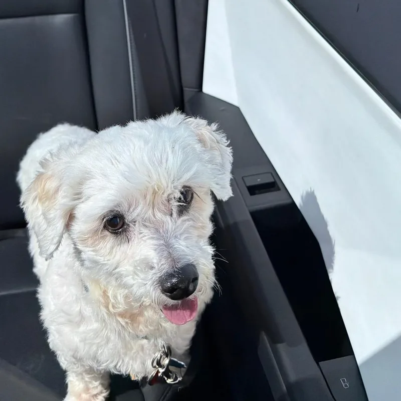 Daisy Mae thumbnail 3