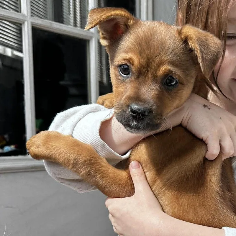 Ruthie thumbnail 6