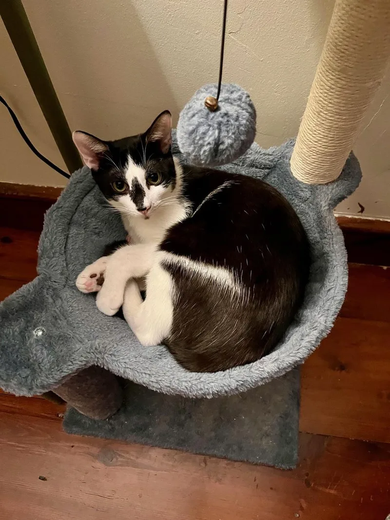 Headley & Lamar  thumbnail 2