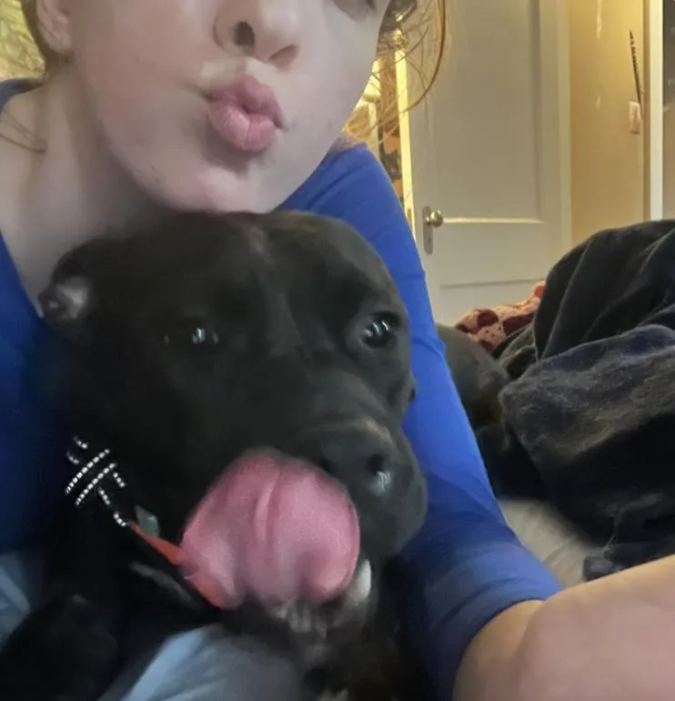 Cocoa The Sweet Cuddler thumbnail 2