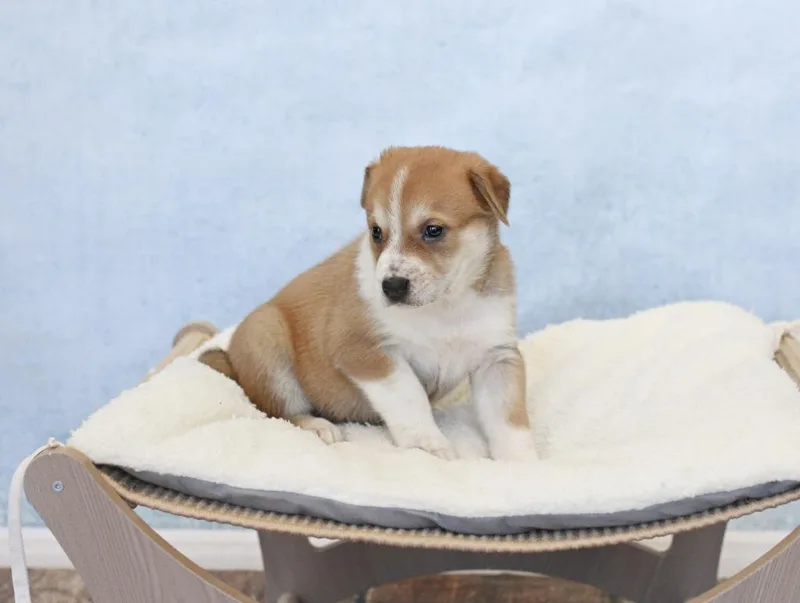 Lucy thumbnail 4
