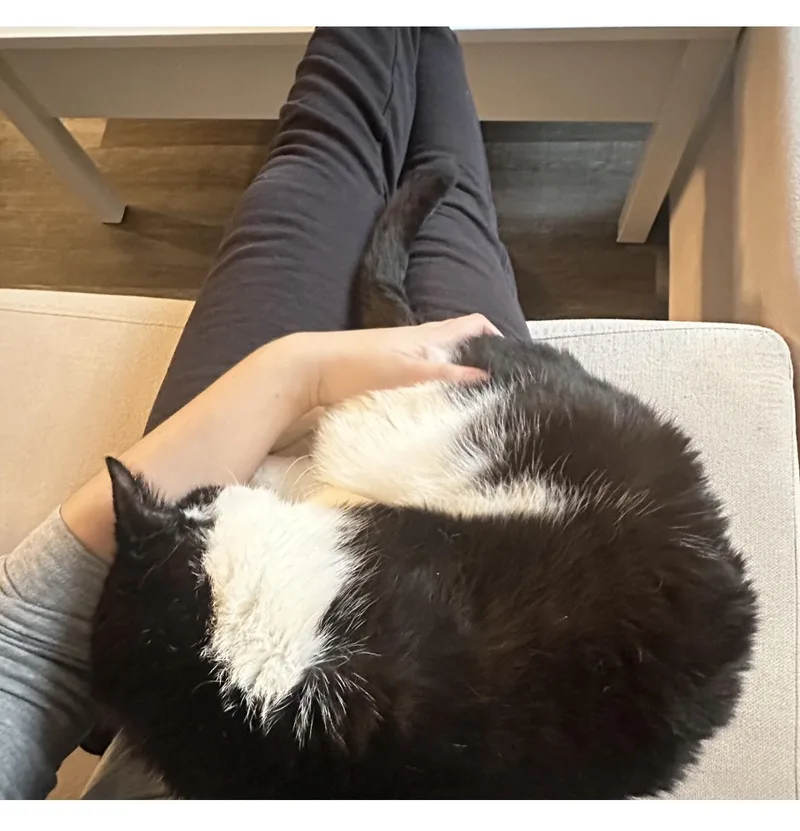 Wilson The Lover! thumbnail 3