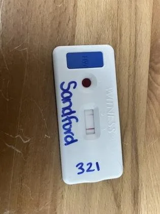 Sanford thumbnail 2