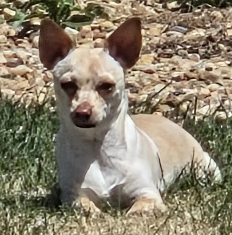 Mable