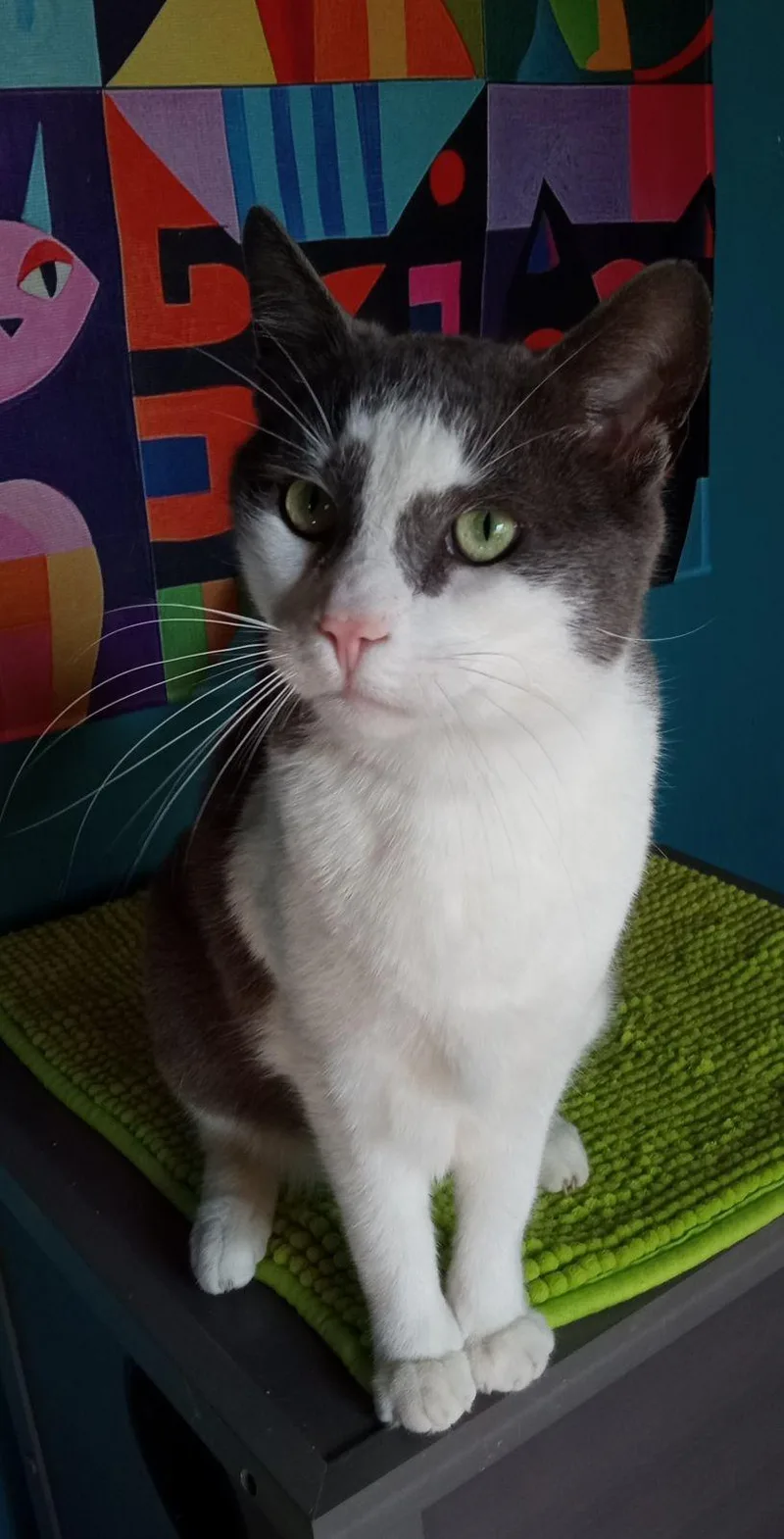 Tiny Tim thumbnail 2