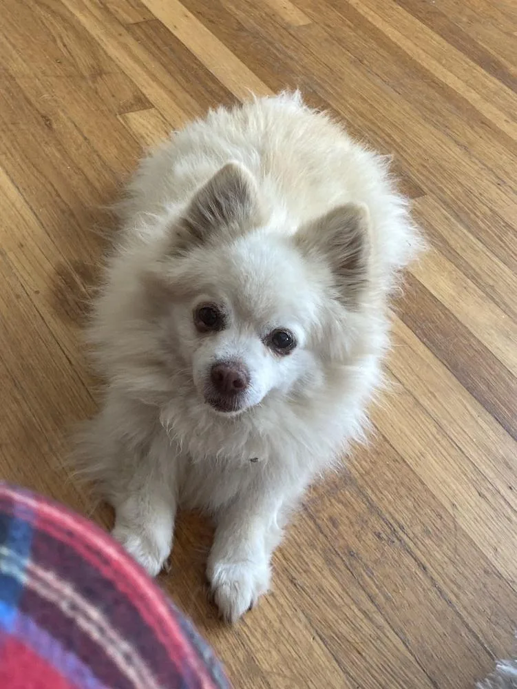 Rocky Little Bit