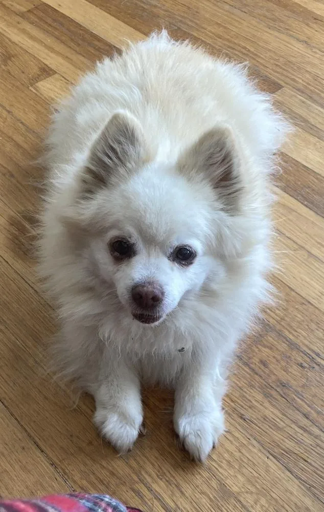 Rocky Little Bit thumbnail 2