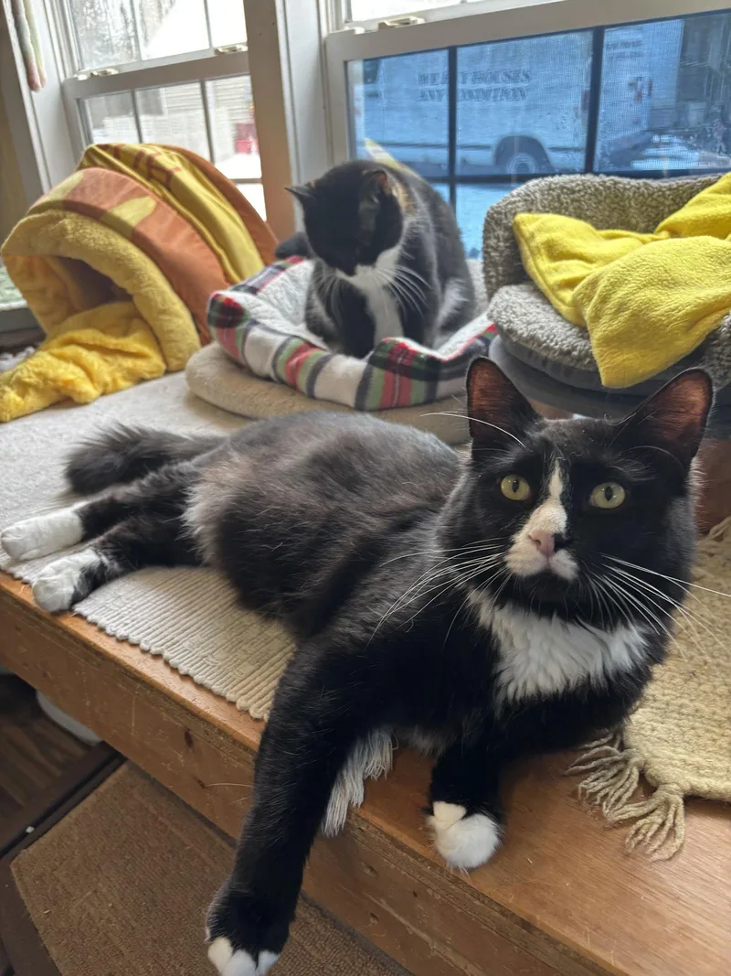 Germaine thumbnail 2