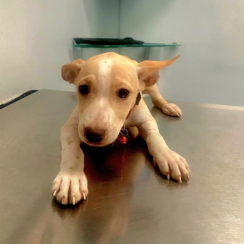 Thalia "hugs & Love!"