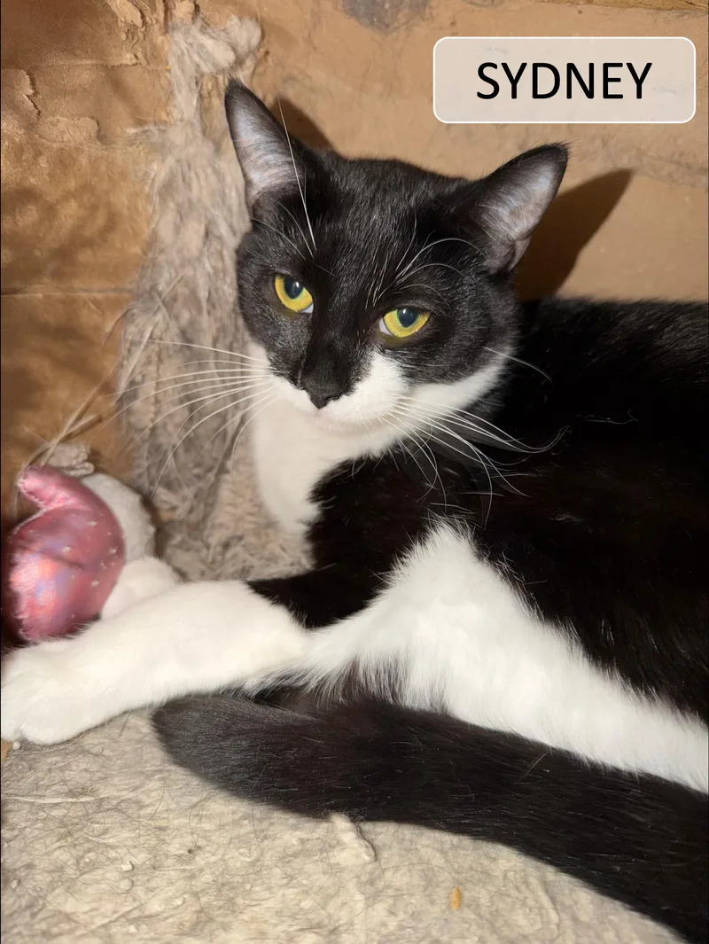 Roo & Sydney thumbnail 2