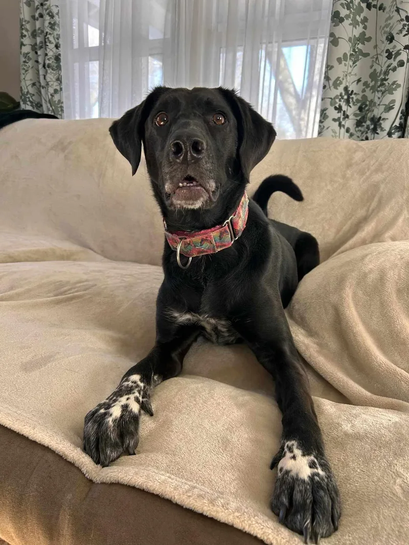 June Bug thumbnail 2