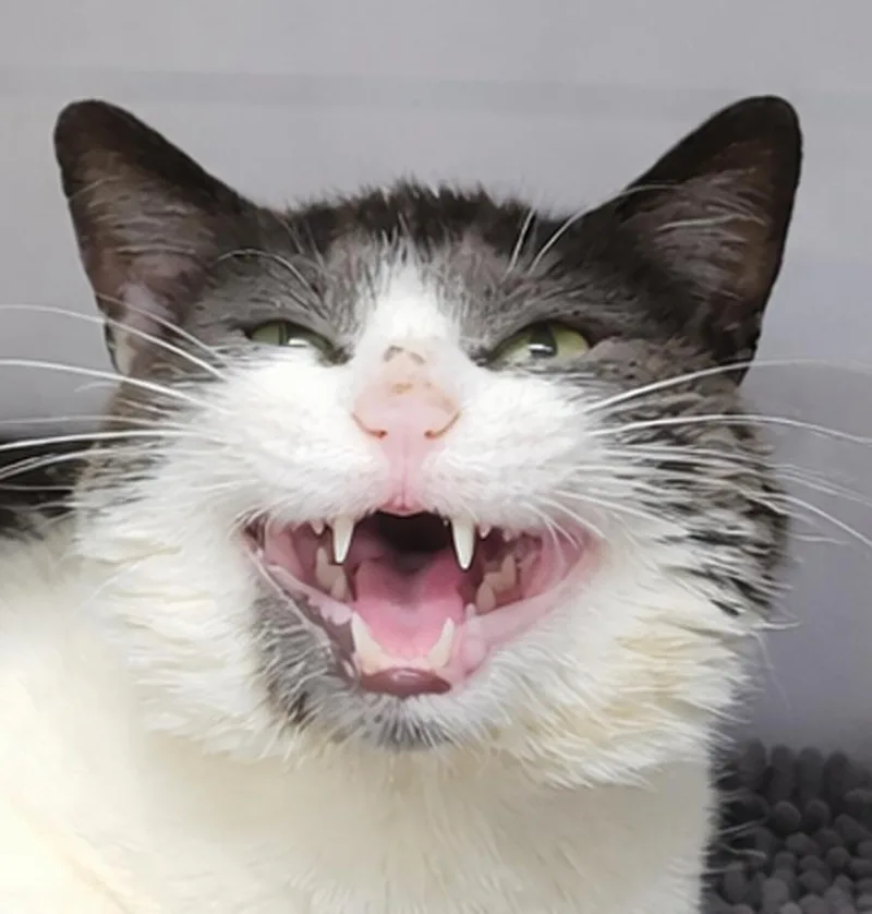 Guadalupe thumbnail 2