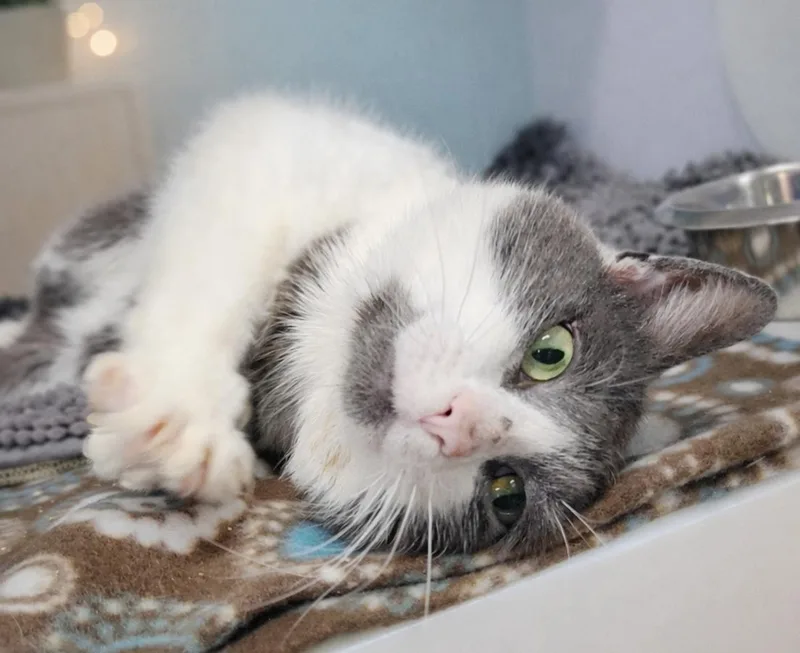 Guadalupe thumbnail 3