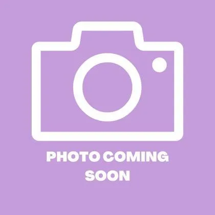 A baby small-sized female White American Shorthair cat named 60815862 for adoption in El Paso, TX