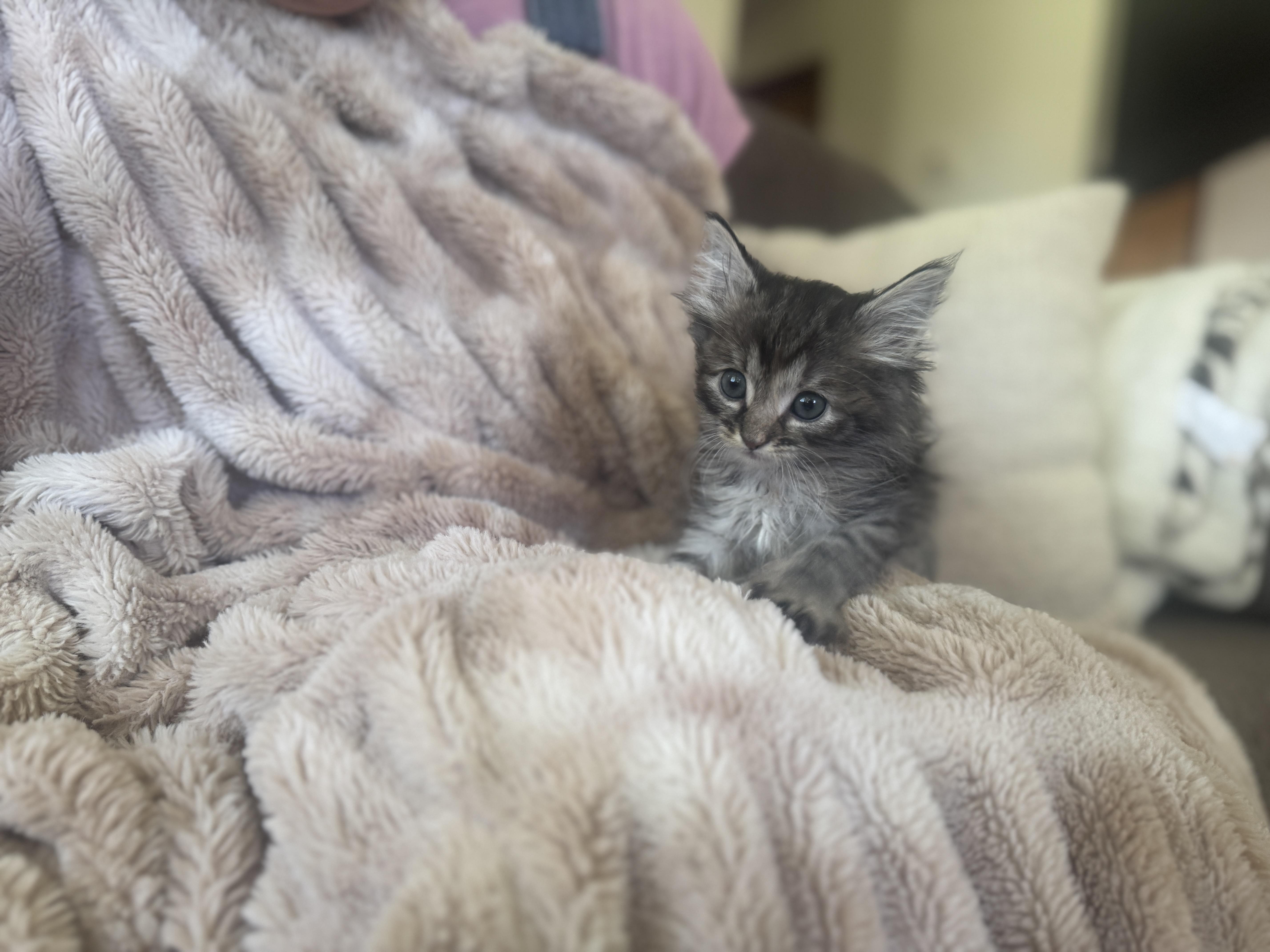 Tabitha thumbnail 3
