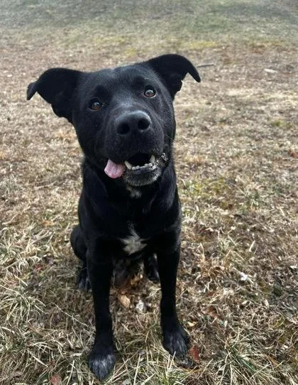 Wippersnapper thumbnail 2