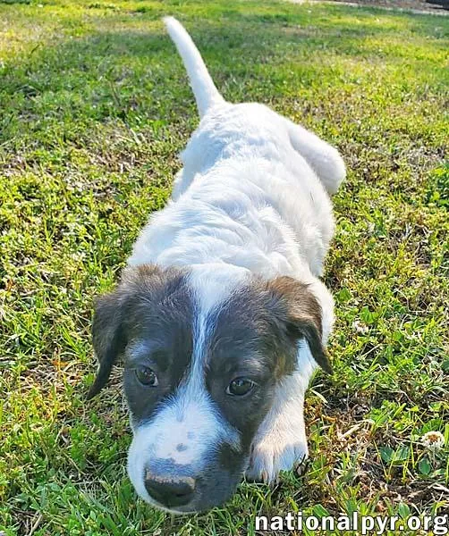 Honey In Ky  thumbnail 3