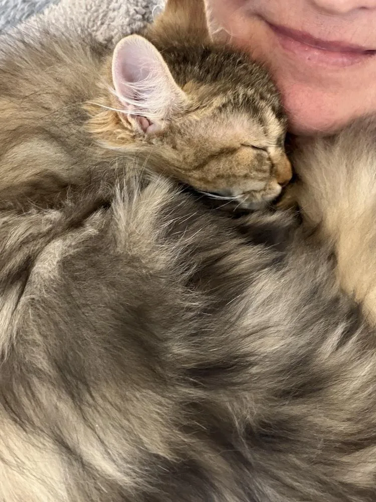 Schitt's Creek:  Moira