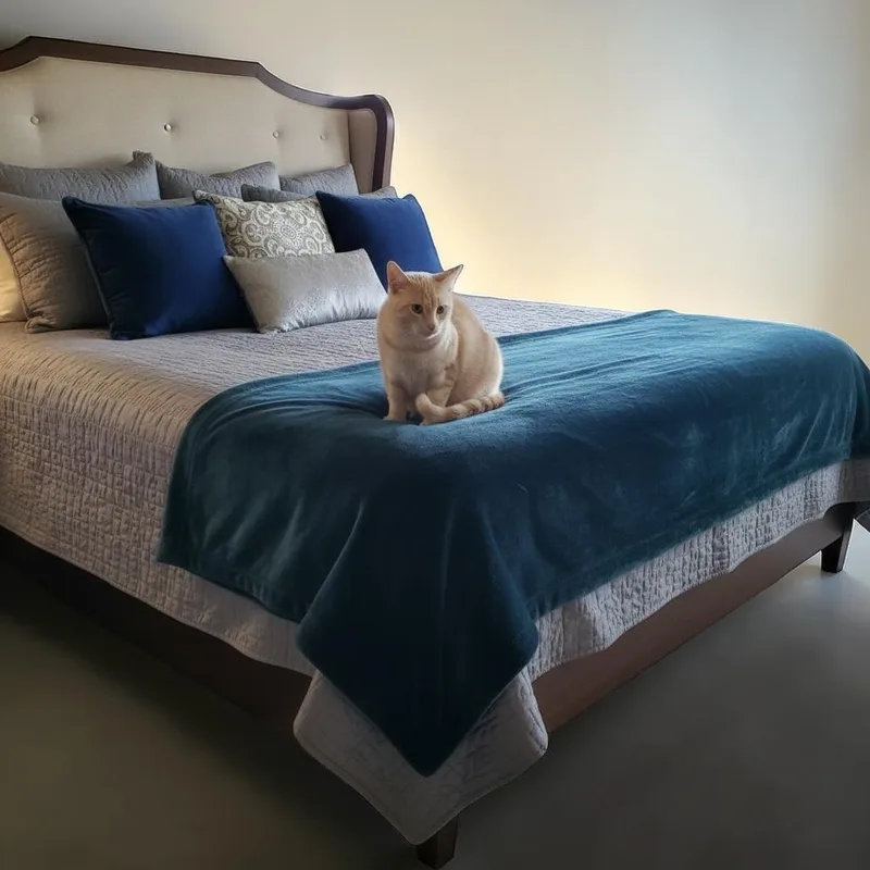 A baby medium-sized male Buff / Tan / Fawn Domestic Short Hair cat named Heath Indoor Only for adoption in Stockton, CA