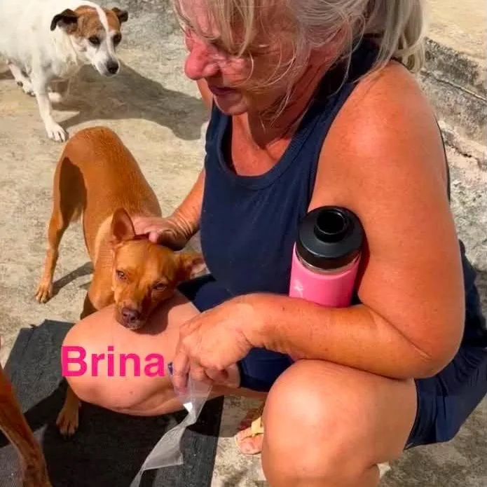 Brinas litter thumbnail 2