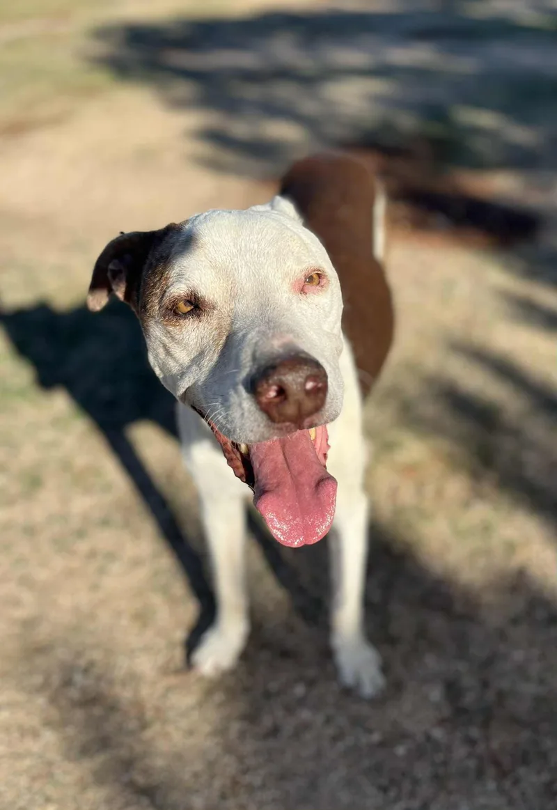 Little Dude thumbnail 2