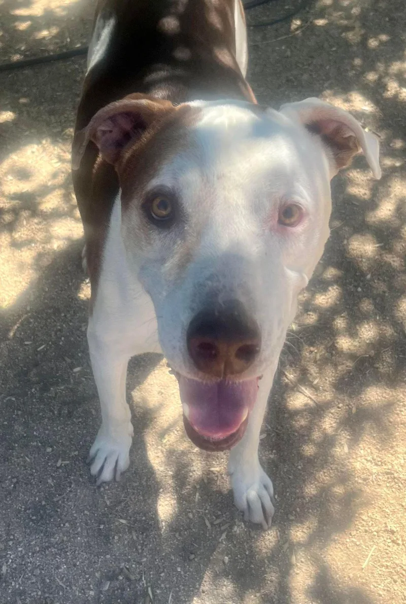 Little Dude thumbnail 3