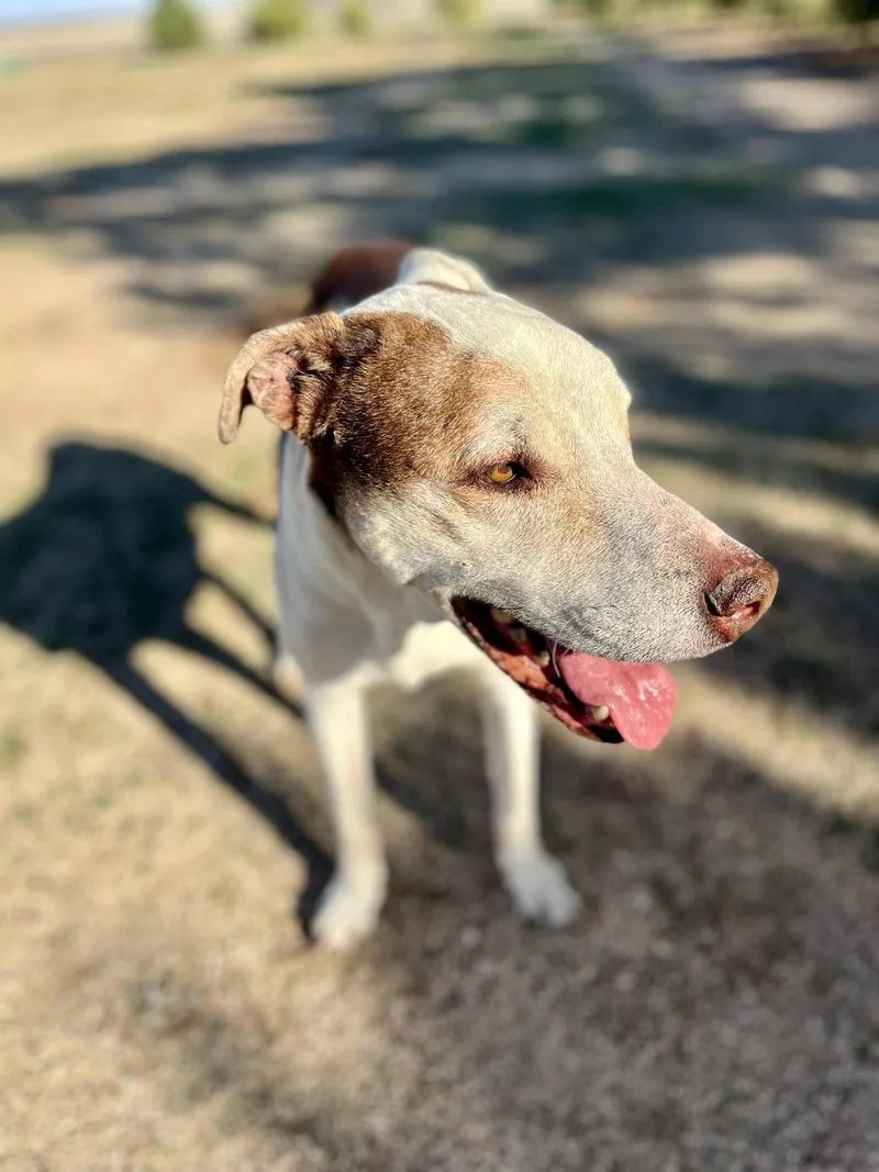 Little Dude thumbnail 4