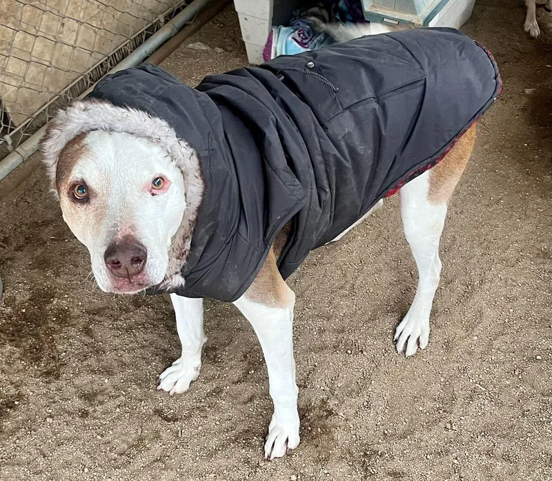 Little Dude thumbnail 5