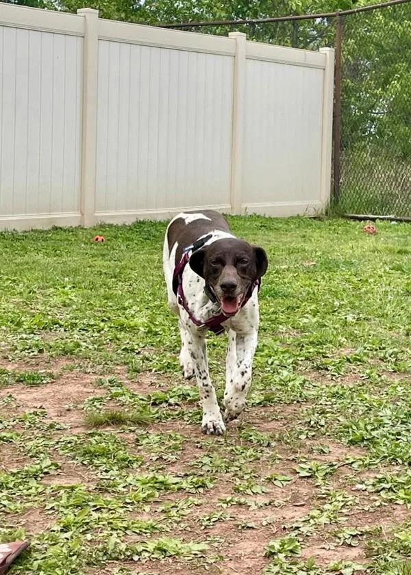 Heidi