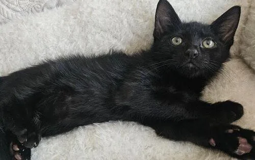 Lenny thumbnail 2