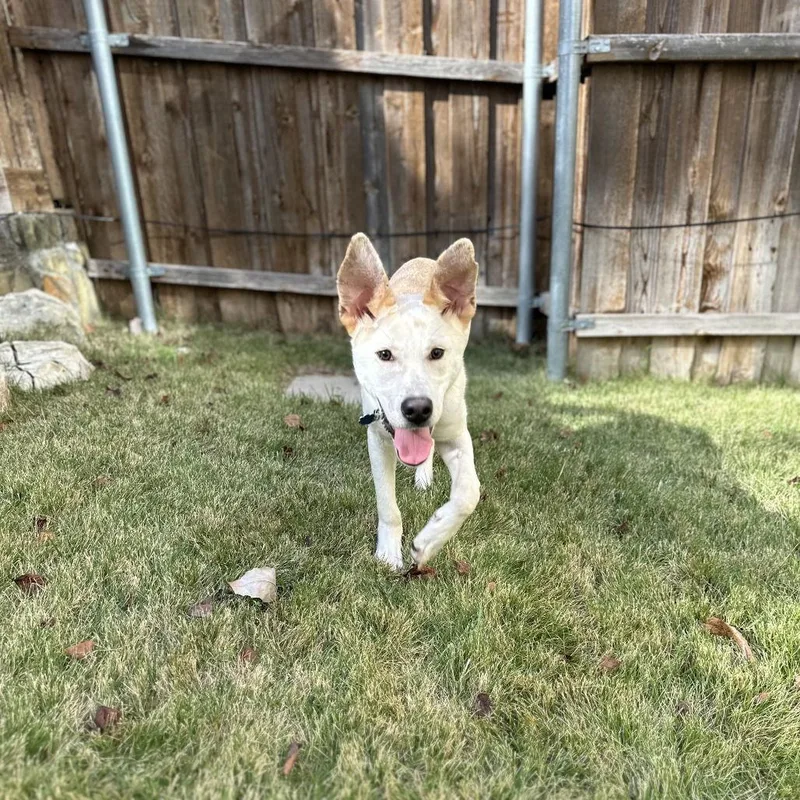 Scout Cooper thumbnail 2