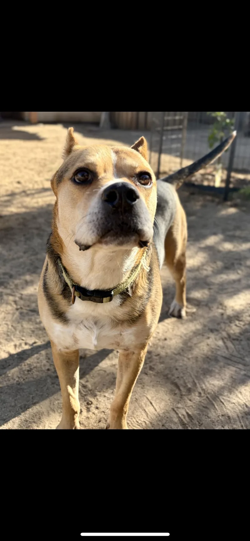 Oscar