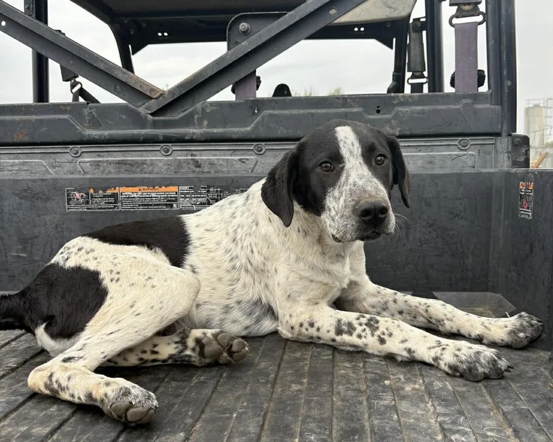 Cpt Hook thumbnail 6