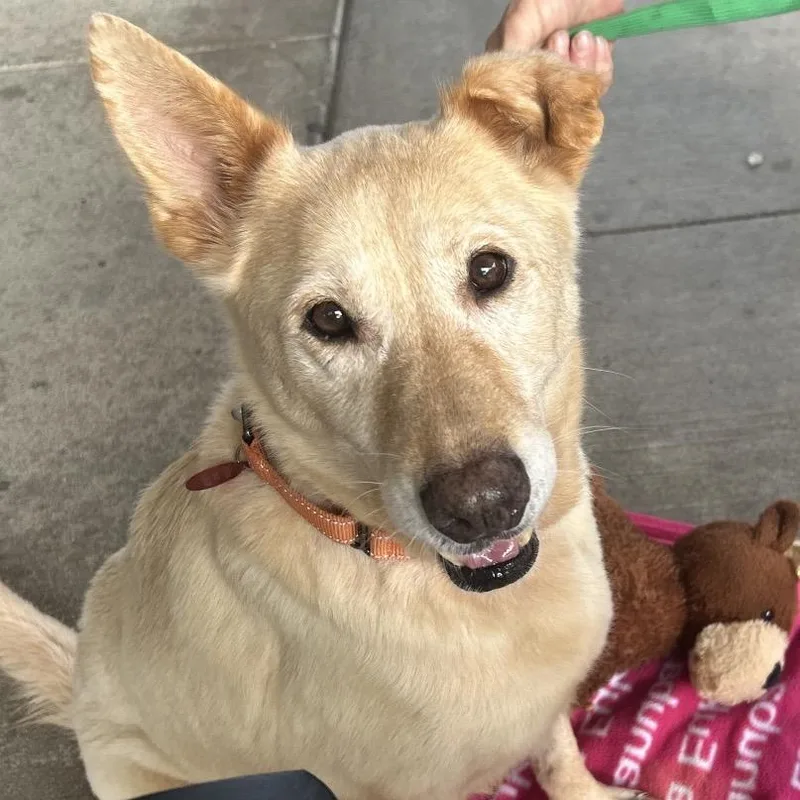 Remi Ruth thumbnail 2