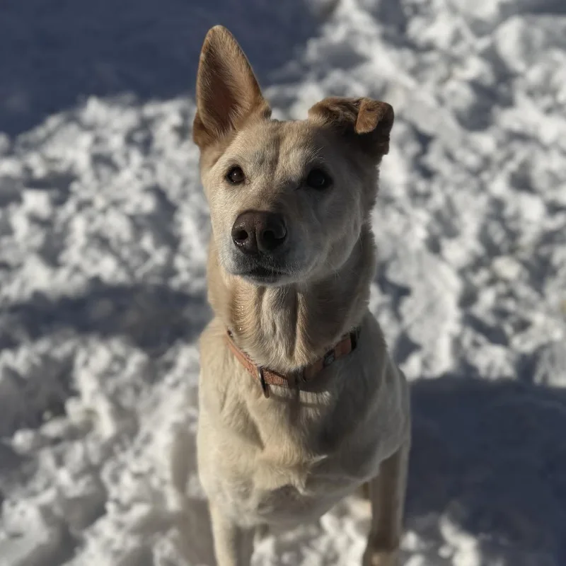 Remi Ruth thumbnail 3