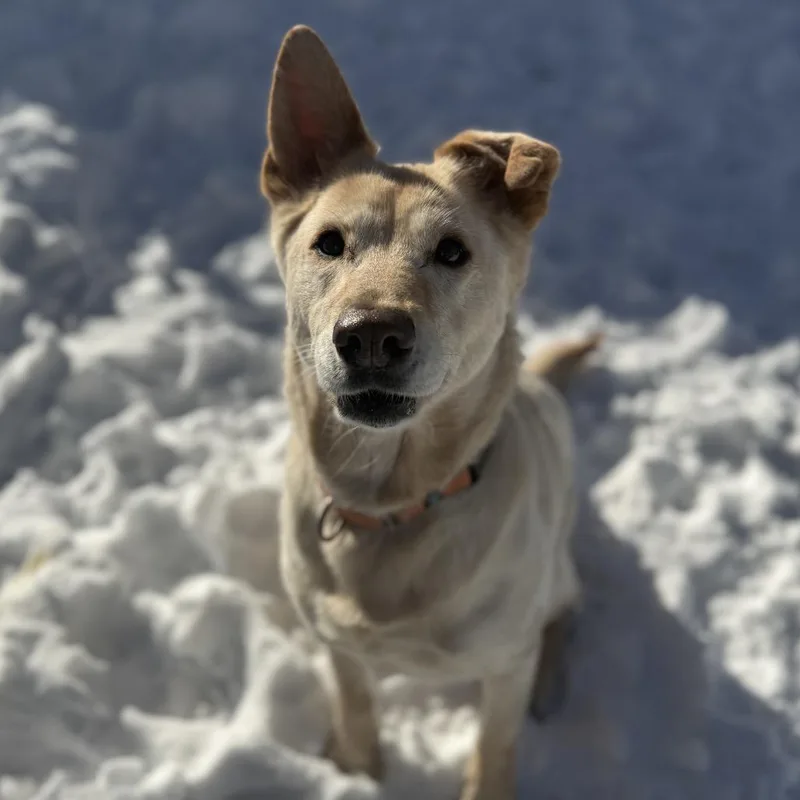 Remi Ruth thumbnail 5