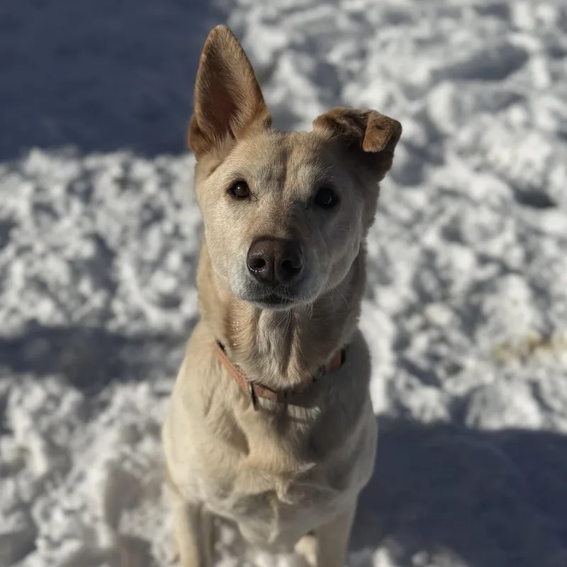 Remi Ruth thumbnail 6