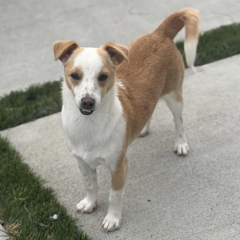 Mr. Bubble Bee Cj thumbnail 2