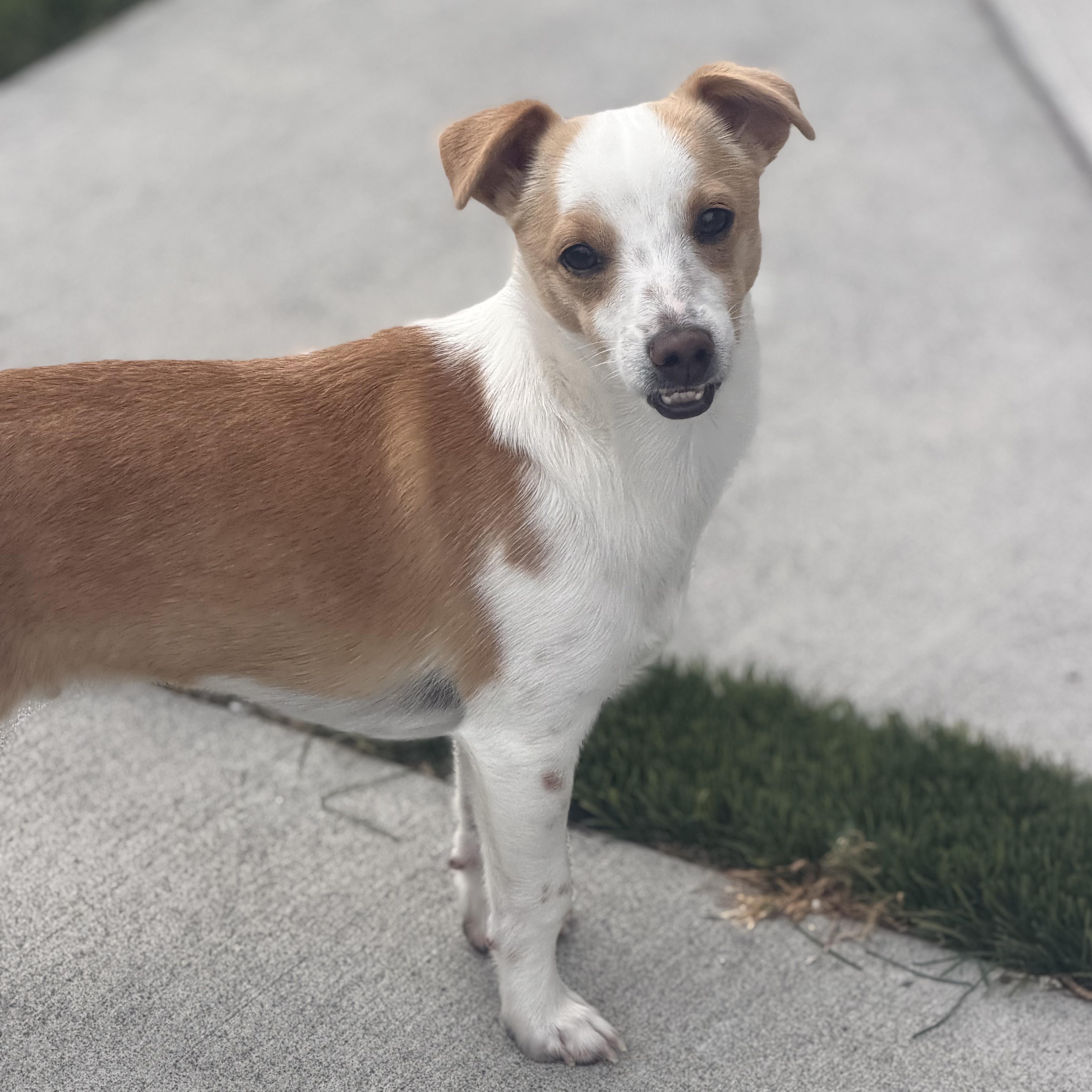 Mr. Bubble Bee Cj thumbnail 3